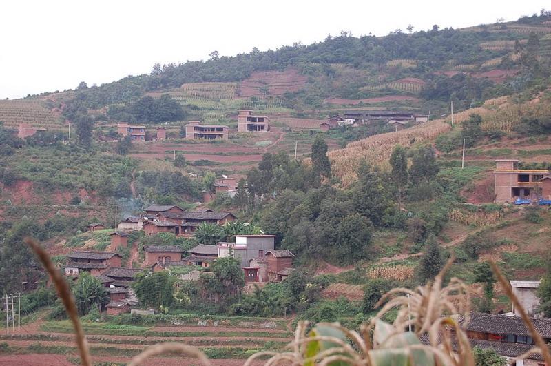 龍潭口村(雲南富民縣羅免鄉下轄村)