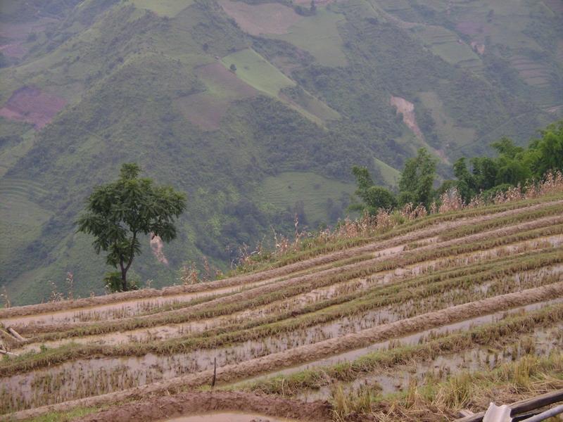 魯龍村