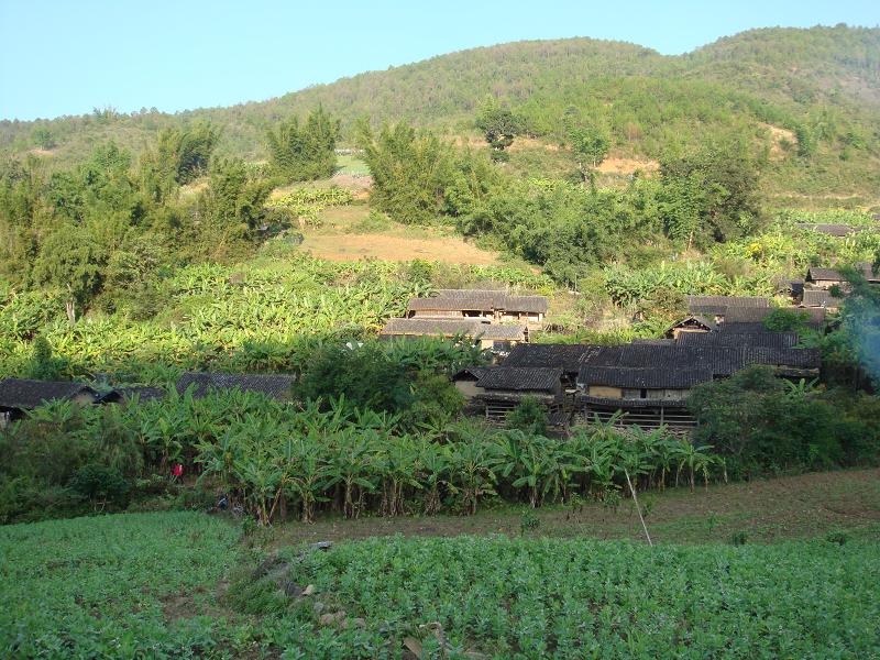 漫河村(景谷傣族彝族自治縣碧安鄉下轄村)