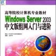 Windows Server 2003中文版組網入門與進階