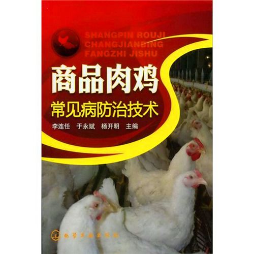 商品肉雞常見病防治技術