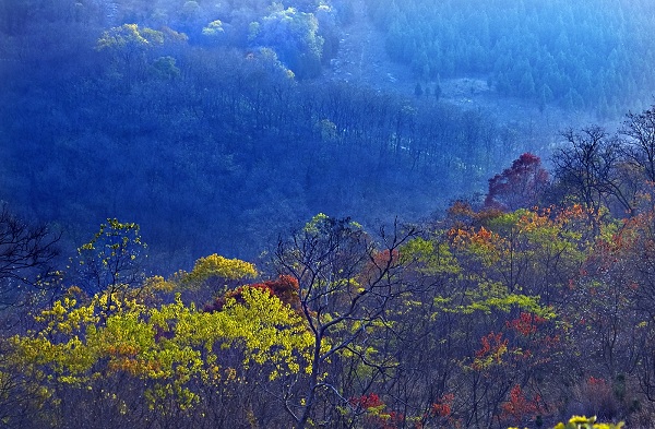 邳州市艾山風景名勝區