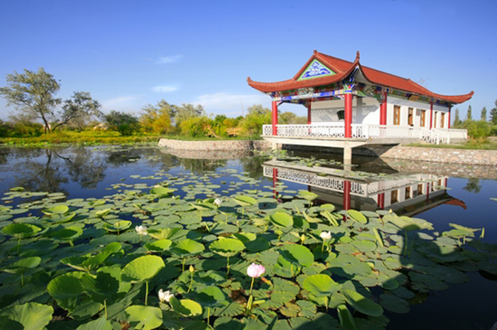 清水湖生態園