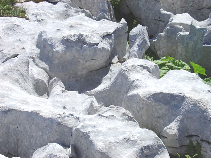 喀斯特地貌岩石