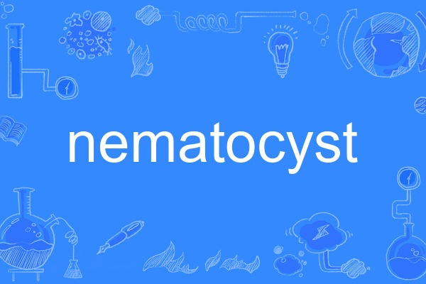 nematocyst