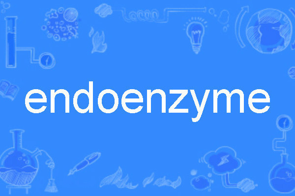 endoenzyme