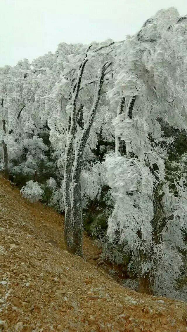 青山界