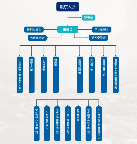 中化能源股份有限公司