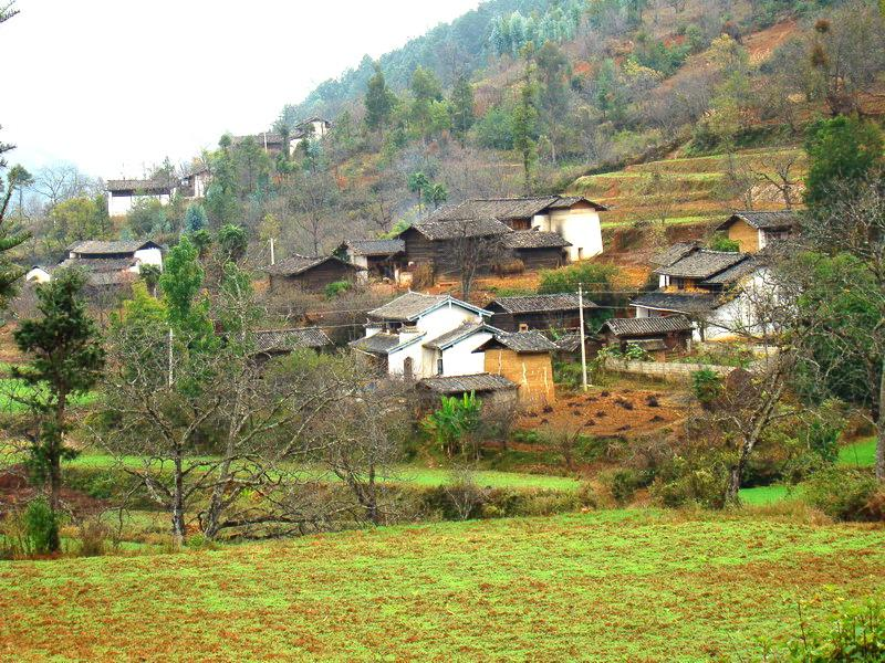 小毛營村(雲南省澂江縣右所鎮下轄村)