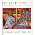 My Five Senses 我的五官感覺