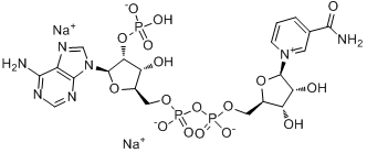 beta-煙醯胺腺嘌呤二核苷酸磷酸二鈉鹽