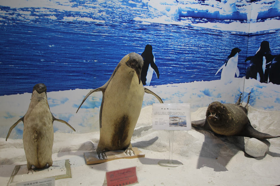 中國科學院海洋生物標本館