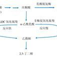 乙醯乳酸脫羧酶