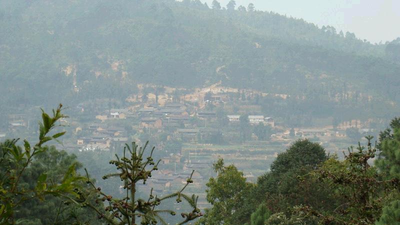 梅子箐村(雲南省文山州硯山縣八嘎鄉梅子箐村)