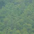 下河西村(雲南省劍川縣馬登鎮轄村)