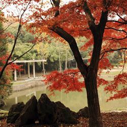 上海植物園