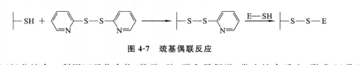 溴化氫-氨碳酸基反應