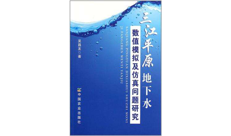 三江平原地下水數值模擬及仿真問題研究