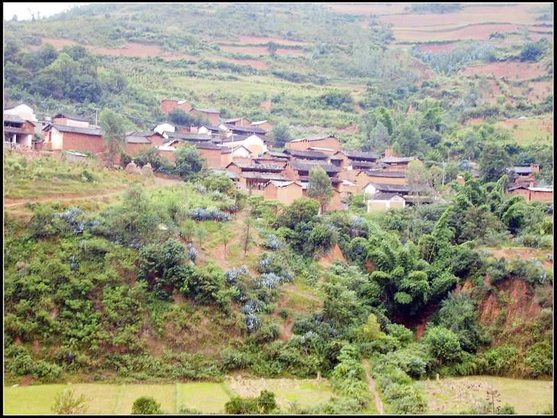 塘子村(雲南彌渡縣德苴鄉下轄村)