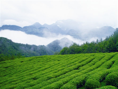 東至八景