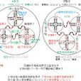 次原子粒子(亞原子粒子)