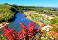 黃椅山火山森林公園