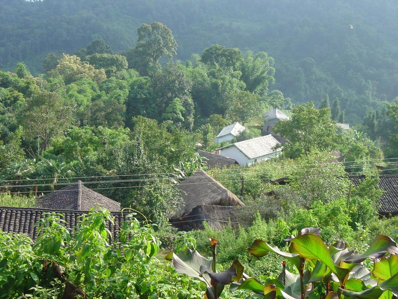 中山自然村(雲南省昌寧縣漭水鎮中山自然村)