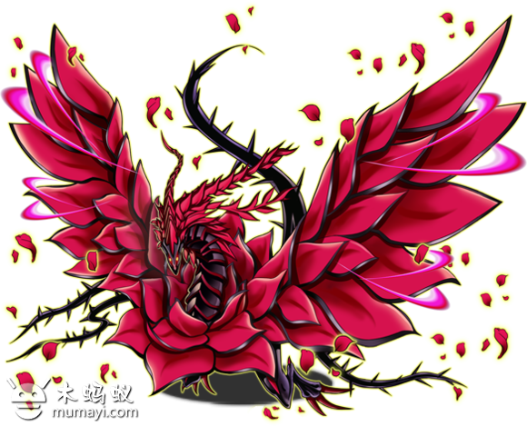 黑薔薇龍(薔薇龍)