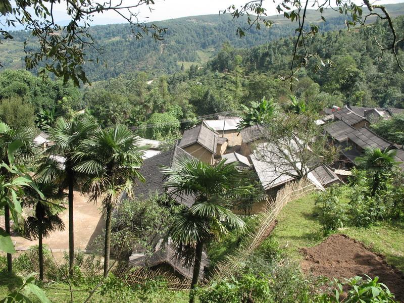 蘿蔔地村(雲南臨滄鳳慶縣洛黨鎮桃花村委會下轄村)