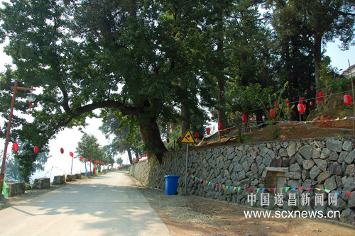 小岱村