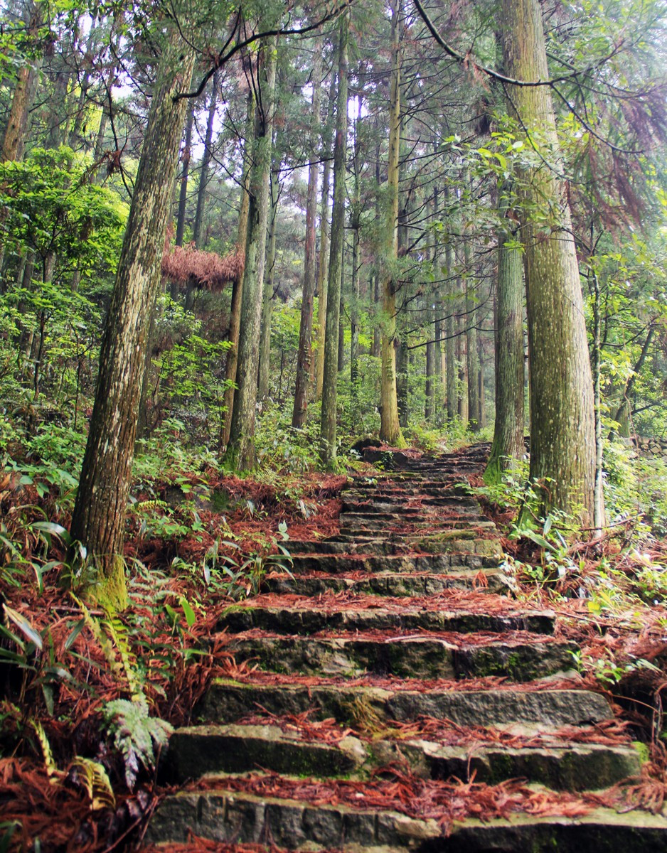 浙江黃岩大寺基森林公園