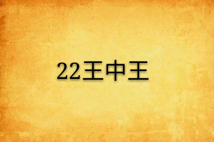 22王中王