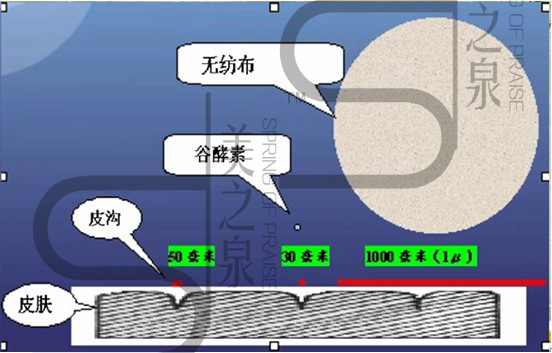 肌膚與谷酵素細緻圖