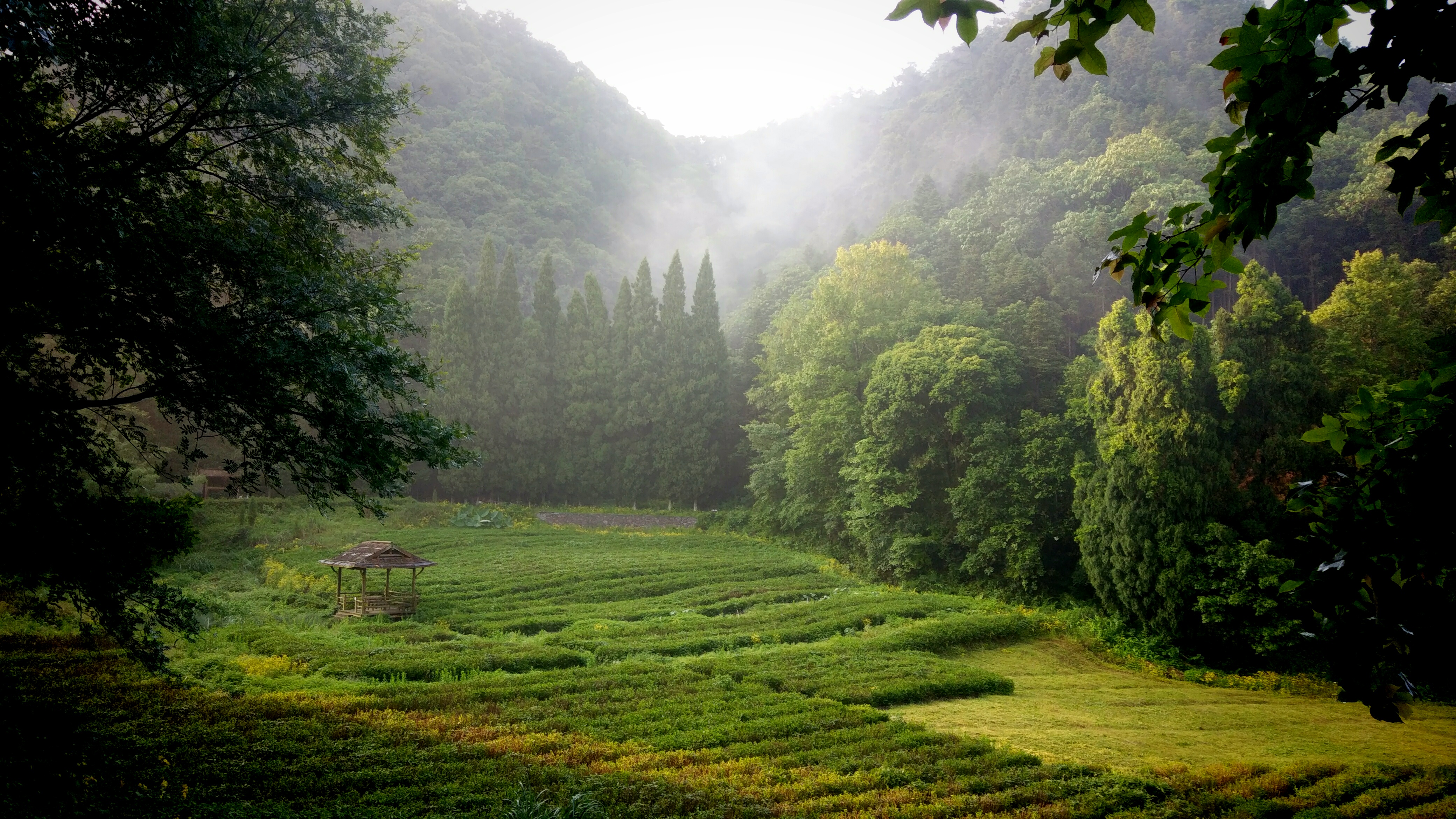 山窮水盡疑無路 柳暗花明又一村