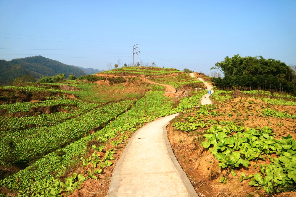 休閒觀光登山步道