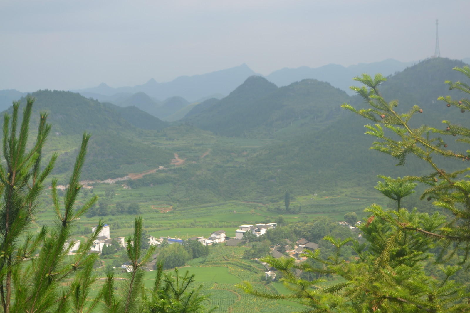 大橋村(湖南省永順縣松柏鎮大橋村)