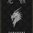 龍骸(死翼耐薩里奧著網路小說)