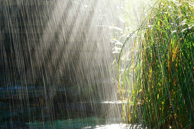 夏夜雨後