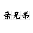 親兄弟(同胞兄弟（漢語辭彙）)