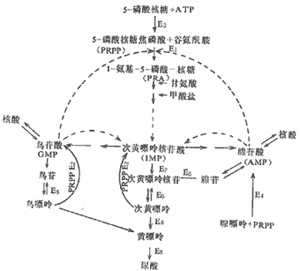 惠妥滋