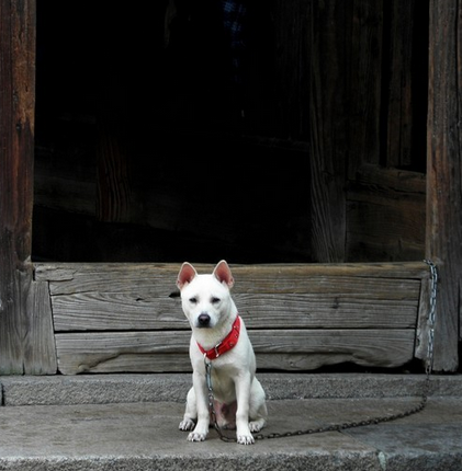 閽犬