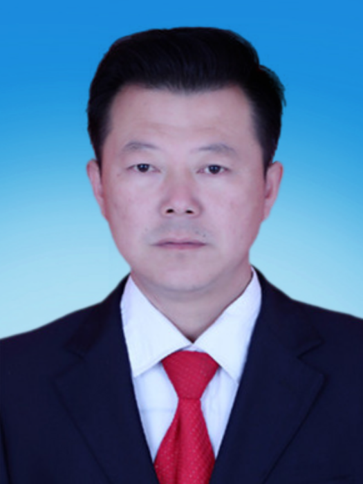 王文平(陝西省榆林市靖邊縣衛生健康局黨組成員、副局長)