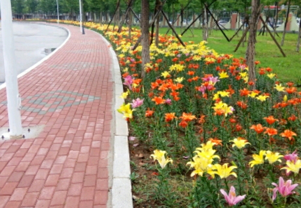 葫蘆島市第一高級中學