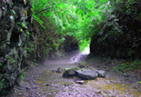 遼寧黃椅山森林公園