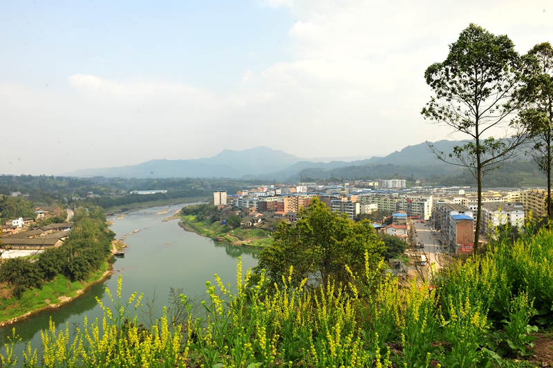 西湖鎮(重慶市江津區西湖鎮)