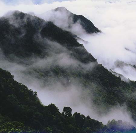 雁南飛茶田度假村