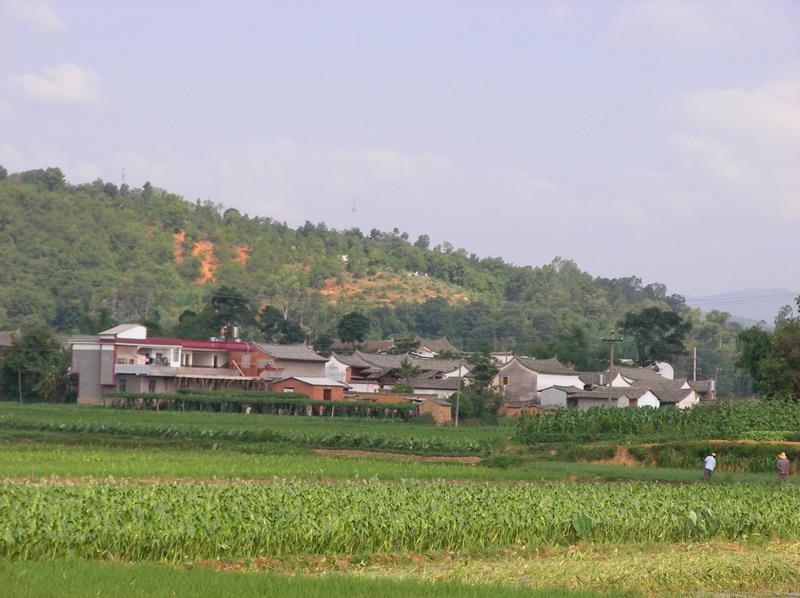 新壩村(雲南省紅河州箇舊市大屯鎮新壩村)