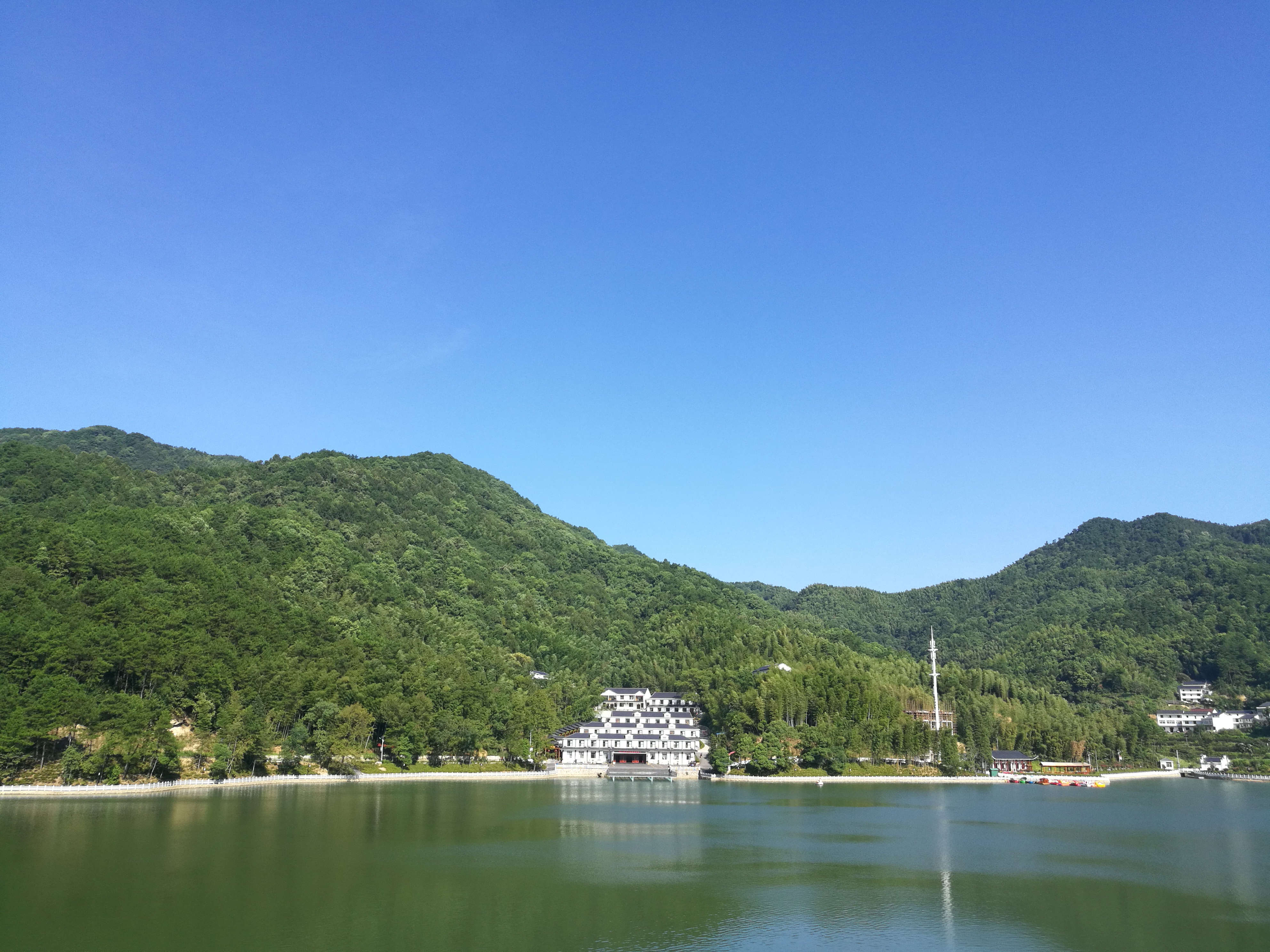 龍門花海景區