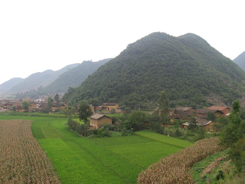 焦灣村(安徽省蕪湖市三山區下轄村)