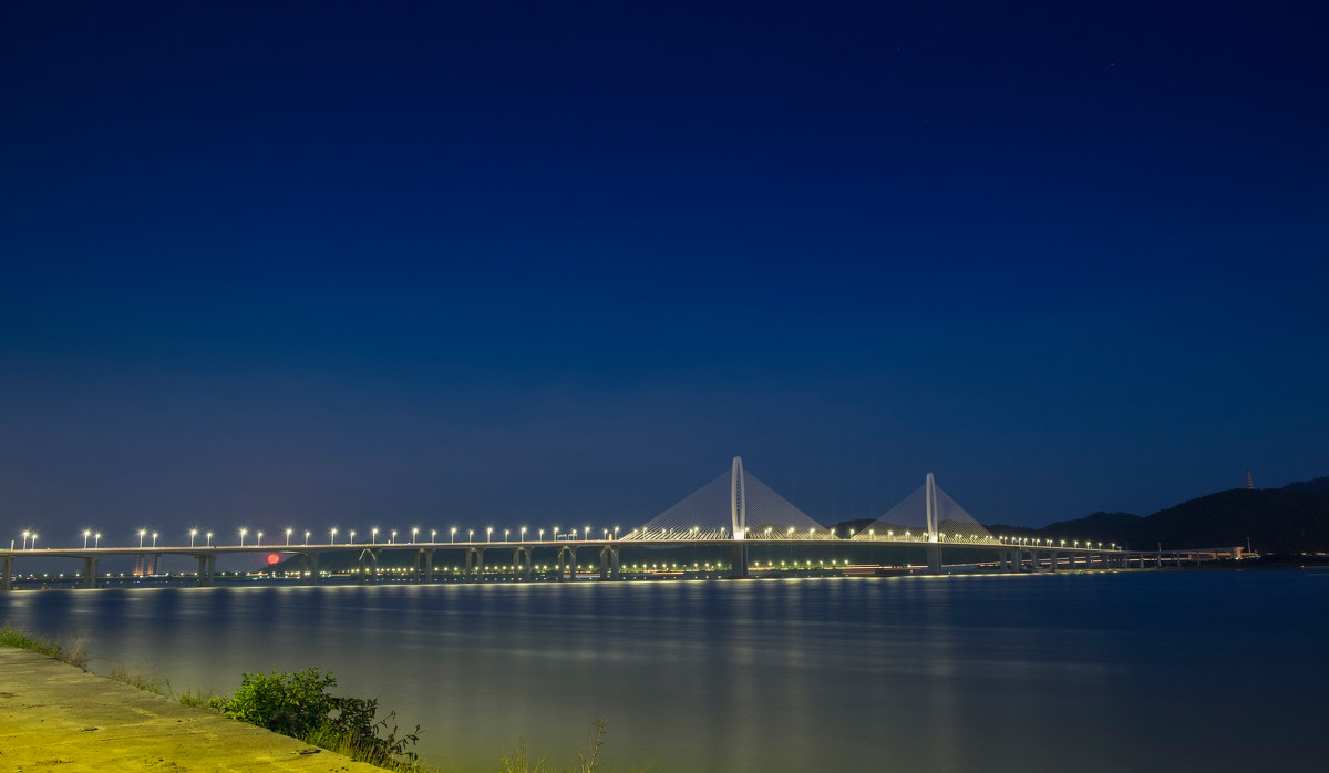 閱江大橋夜景